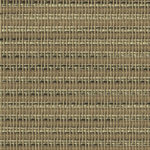 SC2D-05